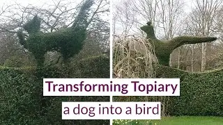 EBTS UK - Transforming Topiary - a dog in to a bird