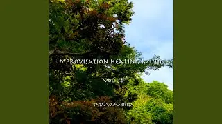 Improvisation Healing Music #301