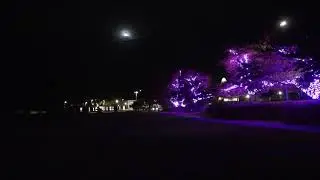 Green Screen Background a walkway at night illuminated with nice purple lights/Chroma Key part 4