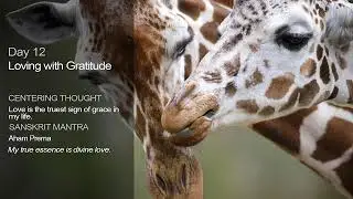 Day 12 Gratitude Meditation | Deepak Chopra