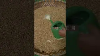 (1/3) Homemade Beer Brewing🍺