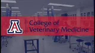 Developing the Future of Veterinary Medicine: A Student's Perspective