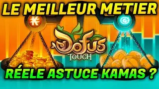 LES MEILLEURS MÉTIERS DE DOFUS TOUCH (ASTUCE KAMAS ?)