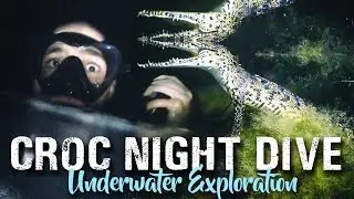 CROCODILE NIGHT SCUBA DIVING | Crazy things to do in Tulum, Mexico