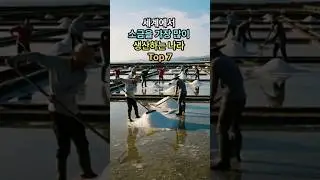 세계에서 소금을 가장 많이 생산하는 나라 Top 7