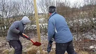 Opsætning af hegn. Fam. Brøndum ApS