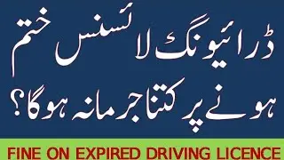 How much fine on expired Saudi driving licence