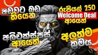 RS 250 BMW කාර් එකක් ගන්නේ මෙහමයි (Aliexpress welcome Deal New update #aliexpress #temu #daraz❗