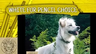 WHITE FUR - Colored Pencil Selection