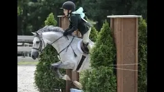 Mini Stirrup Packer Champion for off farm lease