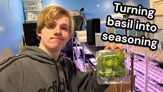 Turning basil into seasoning and trying new ways to grow plants