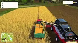 LS15 Gold deutsch #005