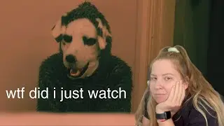 the weirdest horror movie i&rsquo;ve ever seen (Good Boy)