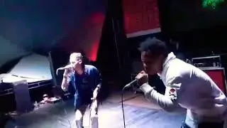 Novik la magia en concierto