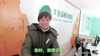 Panda Jin Hu-Dalian forest Zoo yearly card