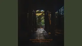 Through the Undergrowth