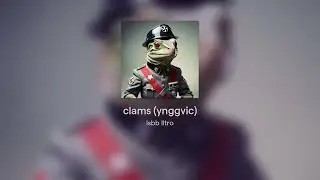 clams (ynggvic)