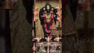 karuna chaivan endhu thamasam krishna 🙏🍀☘️🌿🌱🌺🌷🌹
