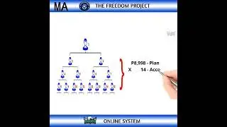 Maximize Your Business in its Full Potential l The Freedom Project Multiple Accounts