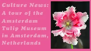 A tour of the Amsterdam Tulip Museum in Amsterdam, Netherlands.