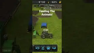 Feeding The Animals! fs16