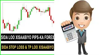 Sida Loo Xisaabiyo PIPS-ka Adigoon Tradingview Isticmaalin (Si fudud u xisaabi TP iy SL pips)