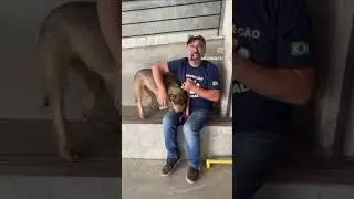 ALEGRIA DE PET - Prote&ccedil;&atilde;o Animal Resgate - Adote um Pet