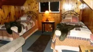 Big Bear Cabin Rental - Strike Golden Values In Big Bear by Renting Prospectors Pick