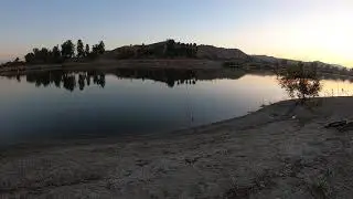 50,000 Hybrid Striped Bass Restocked At Lake Elsinore