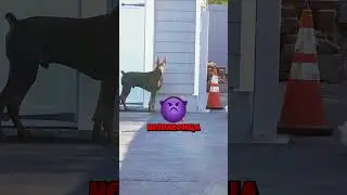 доберман на страже 🐕&zwj;🦺❤️