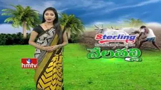 Telangana Agriculture Department New Terms In Fertilizers | Nela Talli  | HMTv
