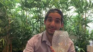AmbiEscents Mini haul (Bed Bath & Beyond Wax)