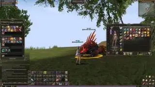 P. Skill Critical damage test - succesful