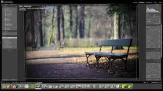 Makowe ABC - Lightroom - Histogram