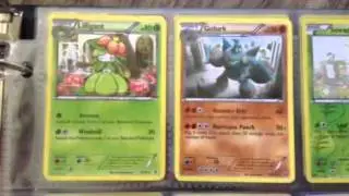 Pokemon Trade Binder