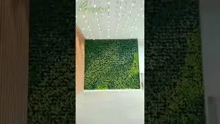 Natural Vertical Garden Indoor | Green Wall Ideas For Indoor | Vertical Garden For office #greenwall