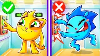 Baby Takes the Elevator Song | 😻🐨🐰🦁 + More Best Kids Songs And Nursery Rhymes by Baby Zoo