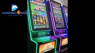 2021 43' HD Touch Screen Fire Link Slot Table Game Machine Produce By HomingGame