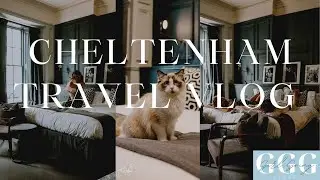 Cheltenham Travel Vlog with our Ragdoll Cat | Pet Friendly Hotel | Filmed on DJI Pocket 2