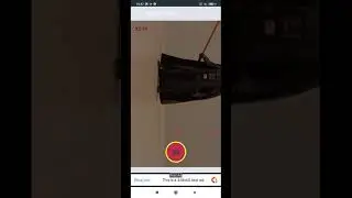 Motion detection zoom   bird observation