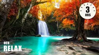 Beautiful Relaxing Ambient Music - Relax, Stress Relief, Sleep, Meditate, Study (Kenneth)