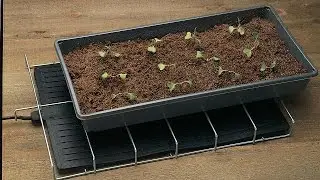 Seed Starting Part 3