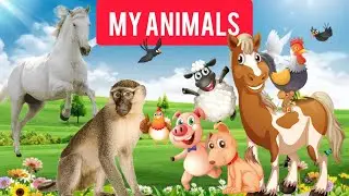 Животные для детей. Как кушают разные животные/How do different animals eat? Animals for kids.