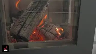 Brennholz | Buche: Vor- und Nachteile