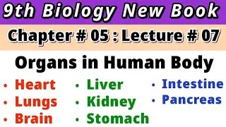 Organs in Human Body| 9th Bio New Book| Chap no 5| Lec no 7| Heart| Liver| Kidney| Brain| Intestine