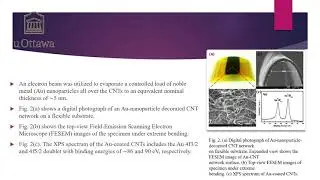 Thin Film functionalization  of Carbon Nanotube : for flexibility Gas sensor devices