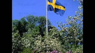 Sveriges Nationaldag Fogd&ouml; &Aring;rby 2013