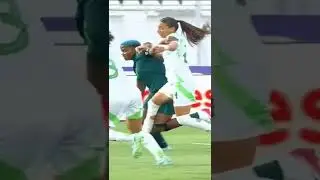 Should this have been a penalty call against Algeria? Or the referee made the right call?