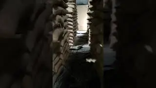 warehouse moth infestation in grain storage #fumigation #moth #infestation #warehouse #storage #pest