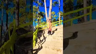 &hearts;️&hearts;️&hearts;️&hearts;️&hearts;️#uttarakhndi #love #shorts #yt #song